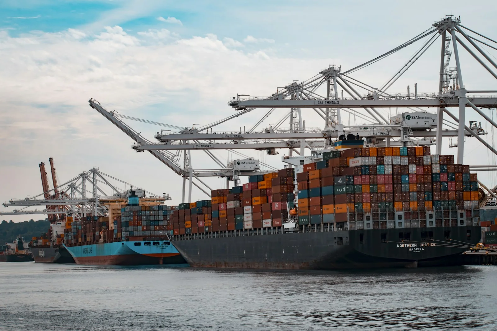 Container vessels berthed beneath terminal cranes
